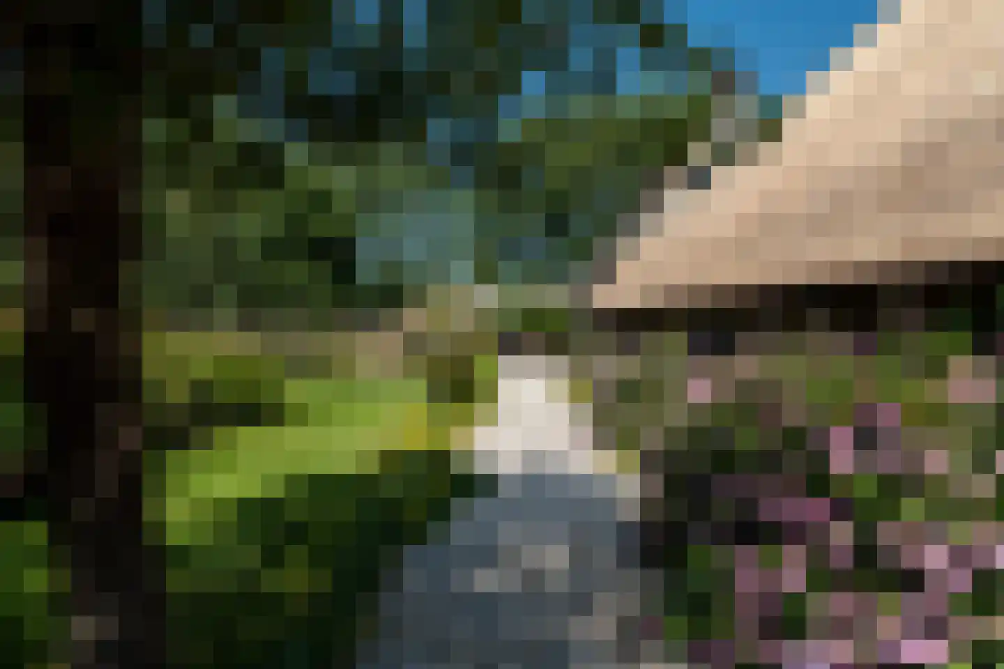 Hearewei 39 Tzummarum thumbnail 46
