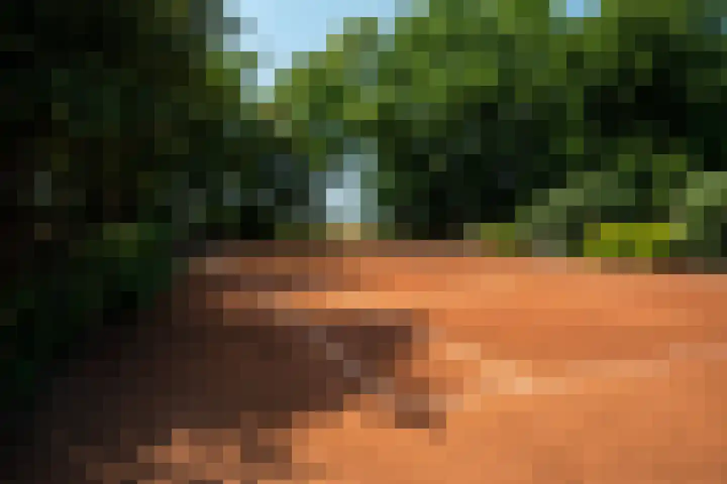 Hearewei 39 Tzummarum thumbnail 47