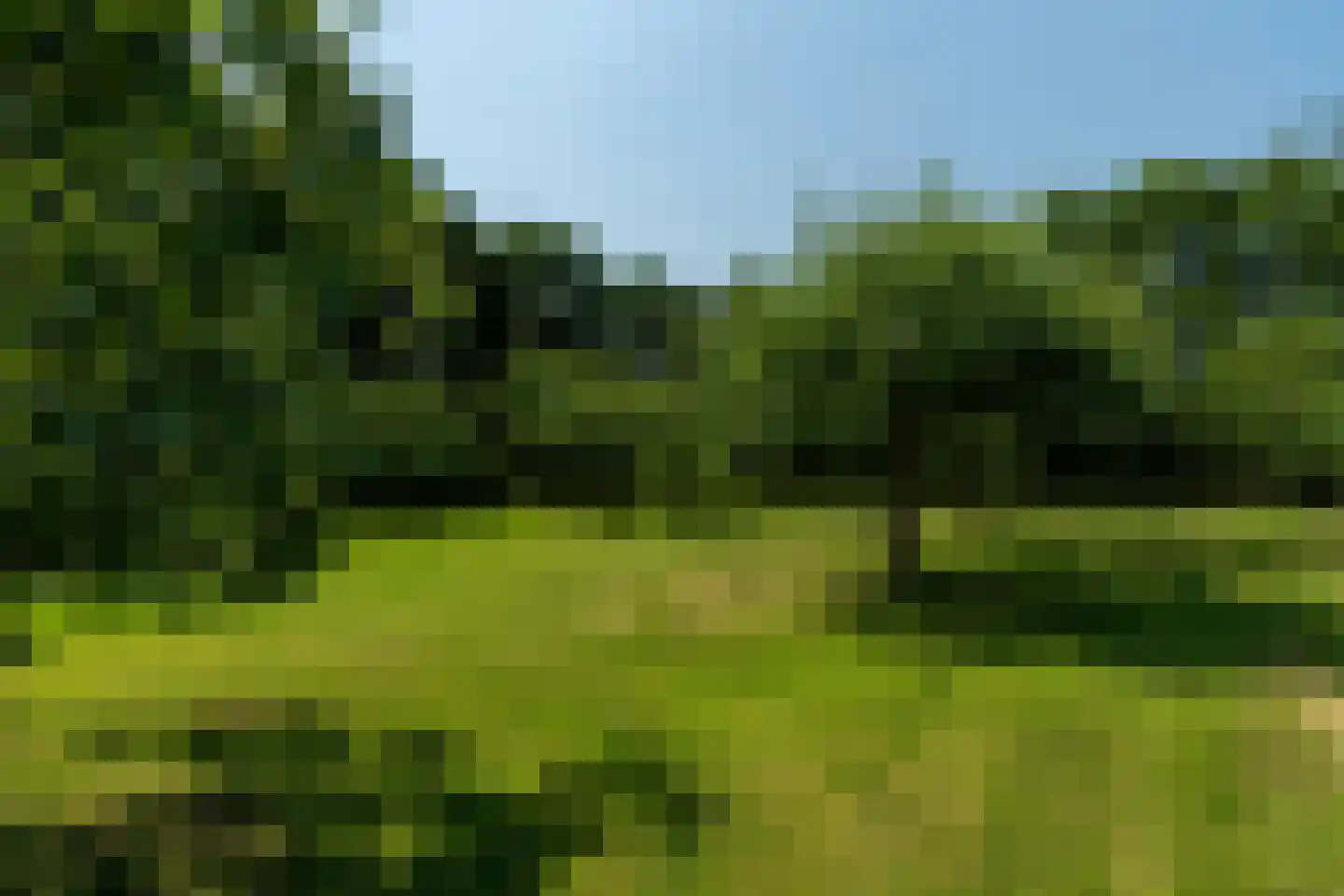 Hearewei 39 Tzummarum thumbnail 60