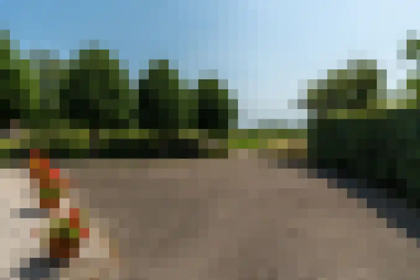 Hearewei 39 Tzummarum thumbnail 67