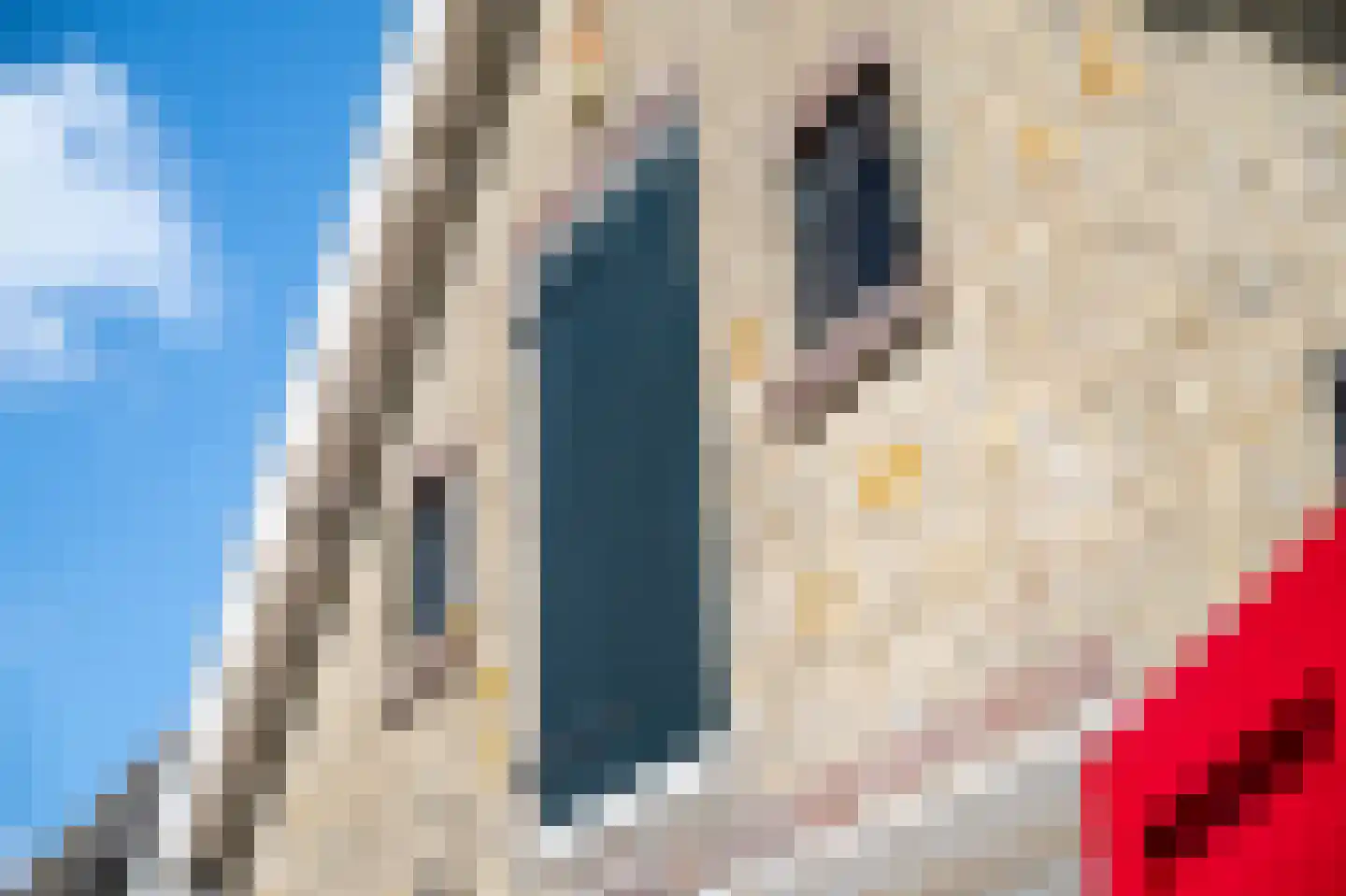 Hearewei 39 Tzummarum thumbnail 7