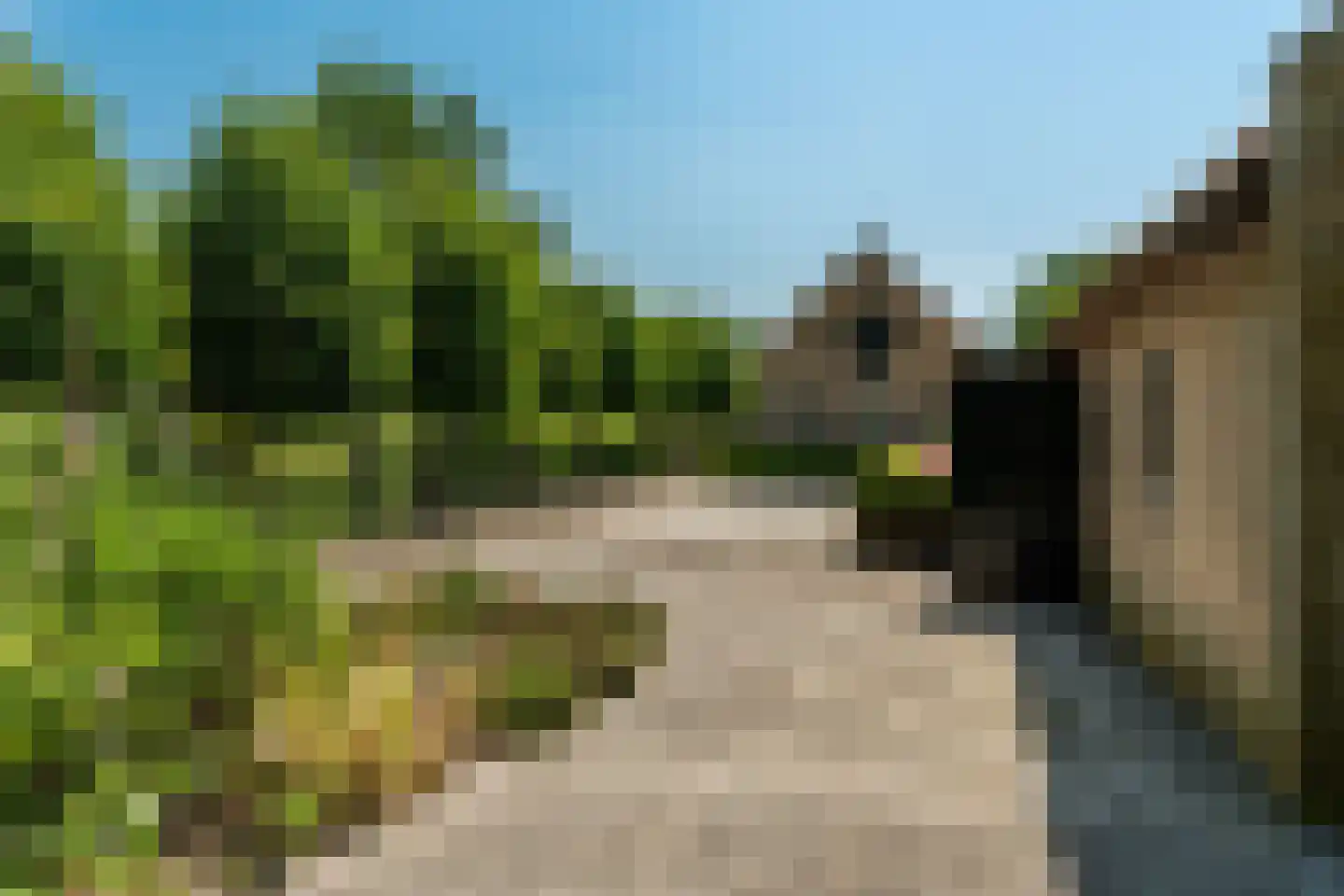 Hearewei 39 Tzummarum thumbnail 70