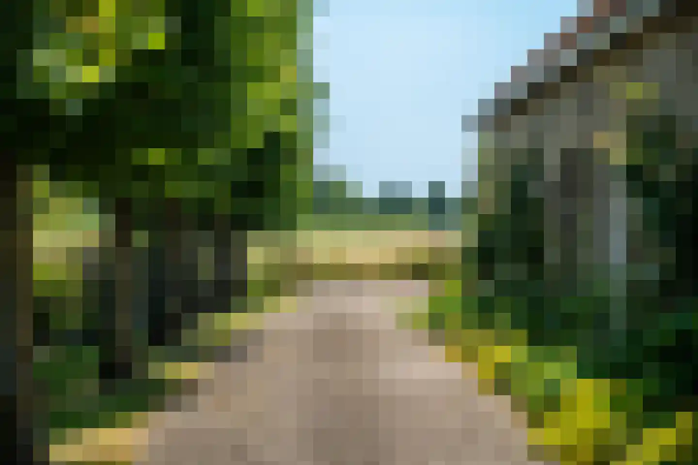 Hearewei 39 Tzummarum thumbnail 71