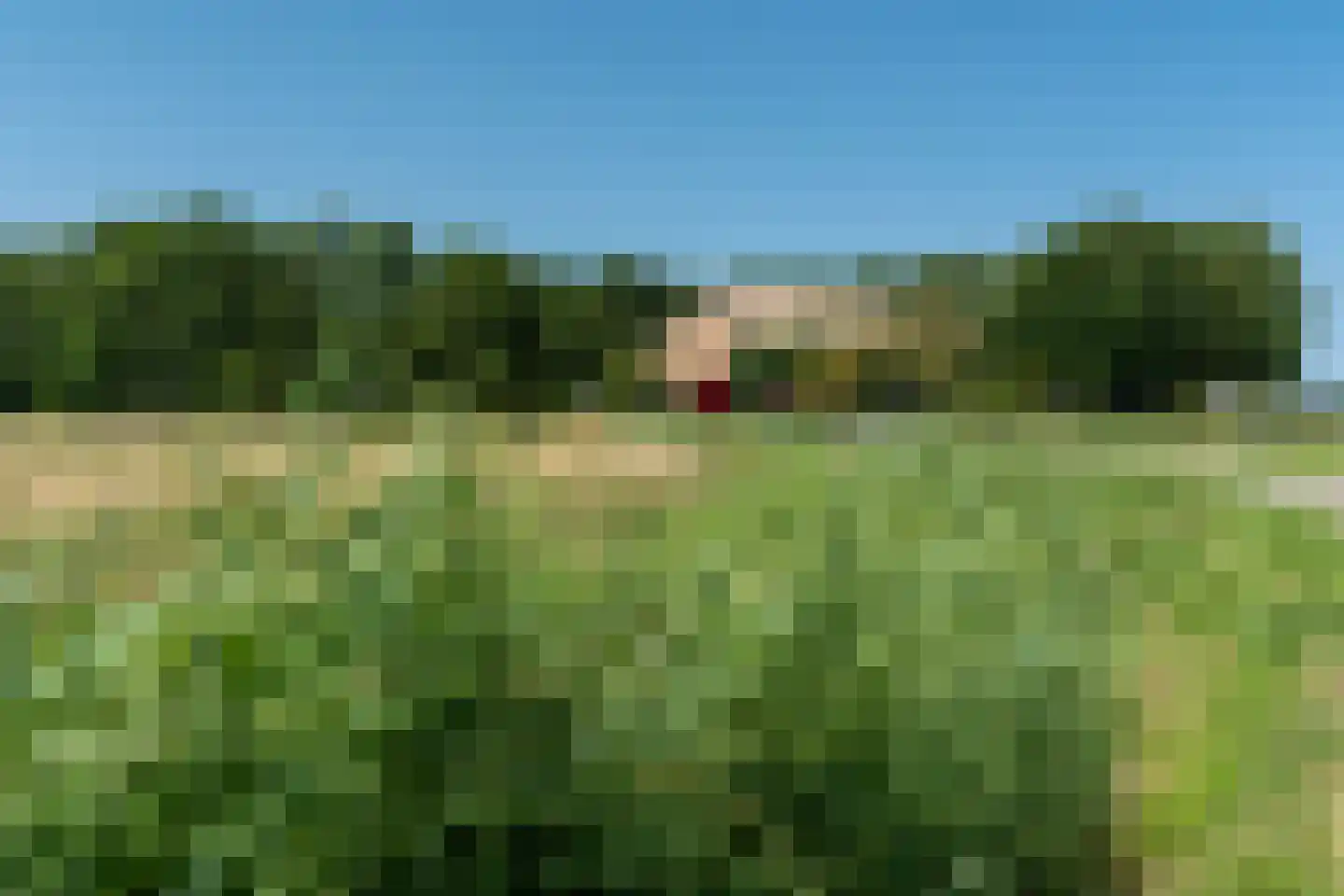 Hearewei 39 Tzummarum thumbnail 74