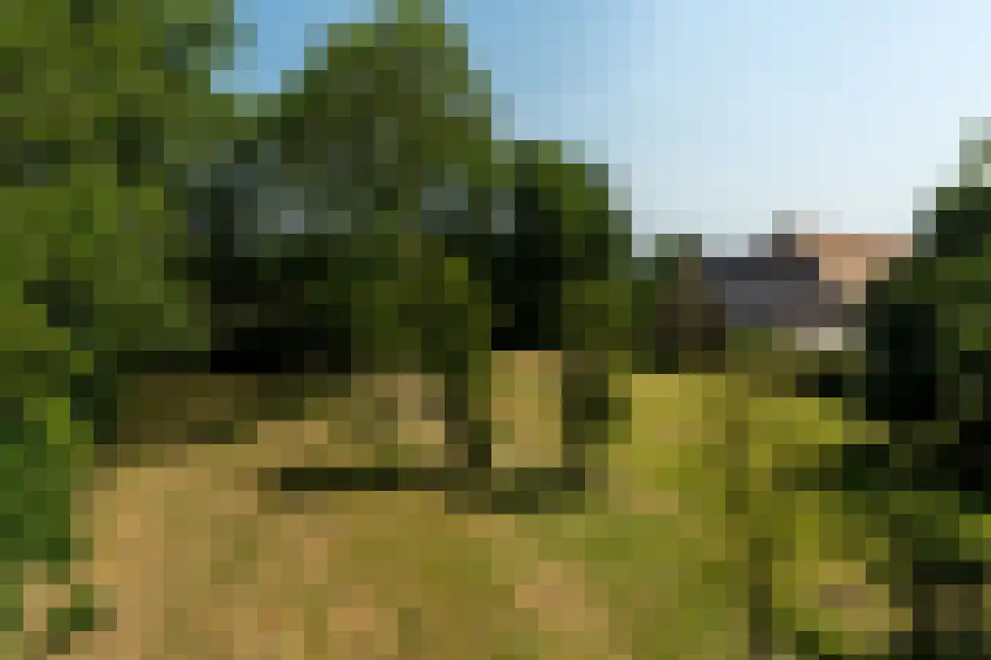 Hearewei 39 Tzummarum thumbnail 75
