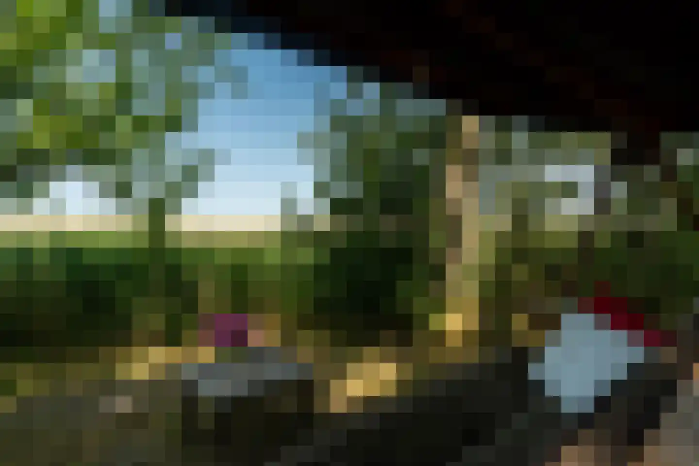 Hearewei 39 Tzummarum thumbnail 77