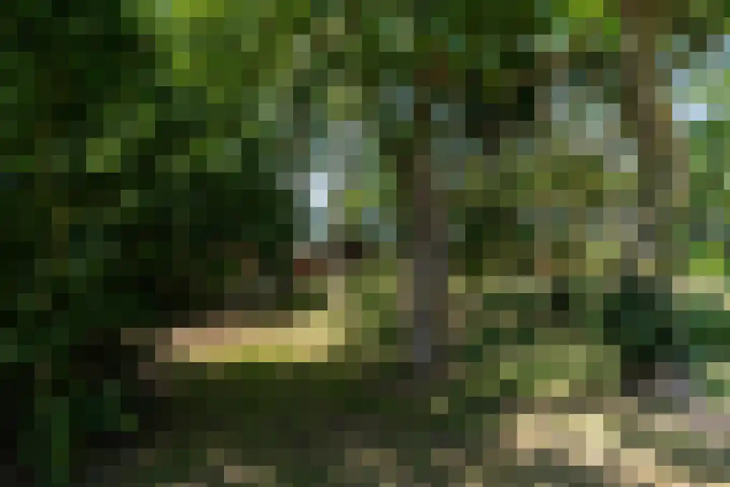 Hearewei 39 Tzummarum thumbnail 78