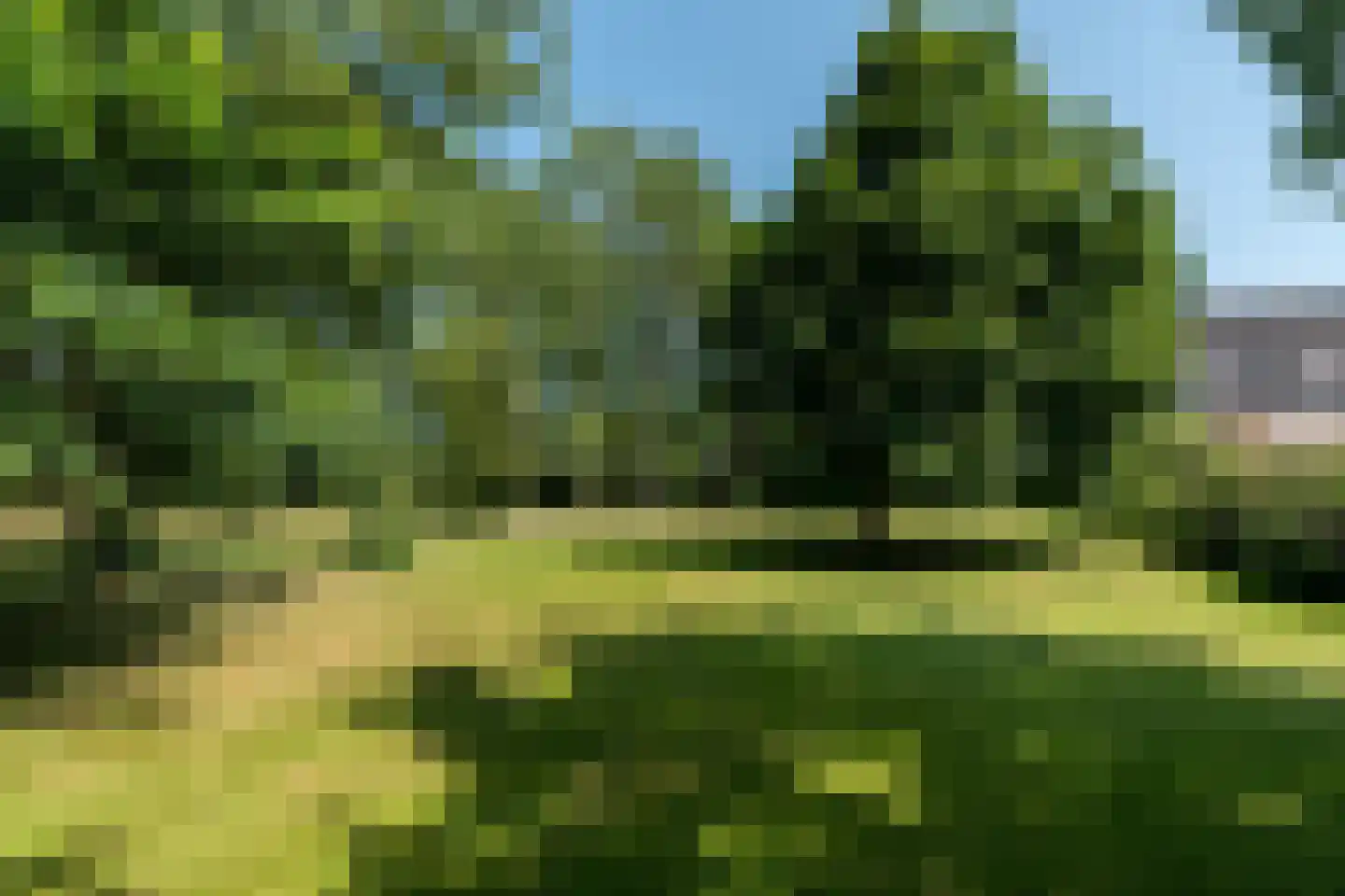 Hearewei 39 Tzummarum thumbnail 79