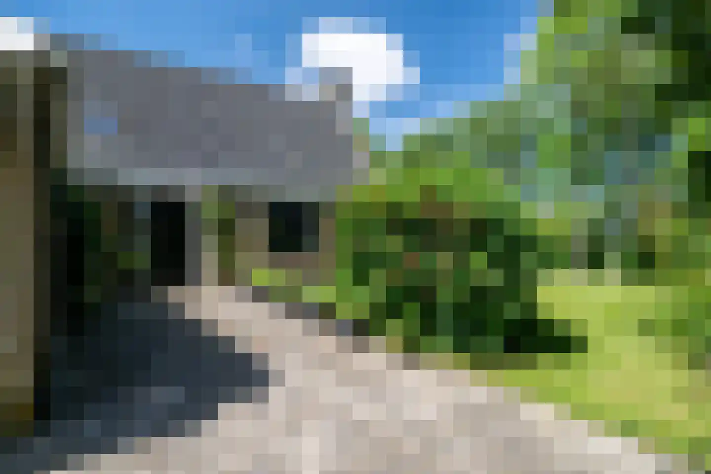 Hearewei 39 Tzummarum thumbnail 8