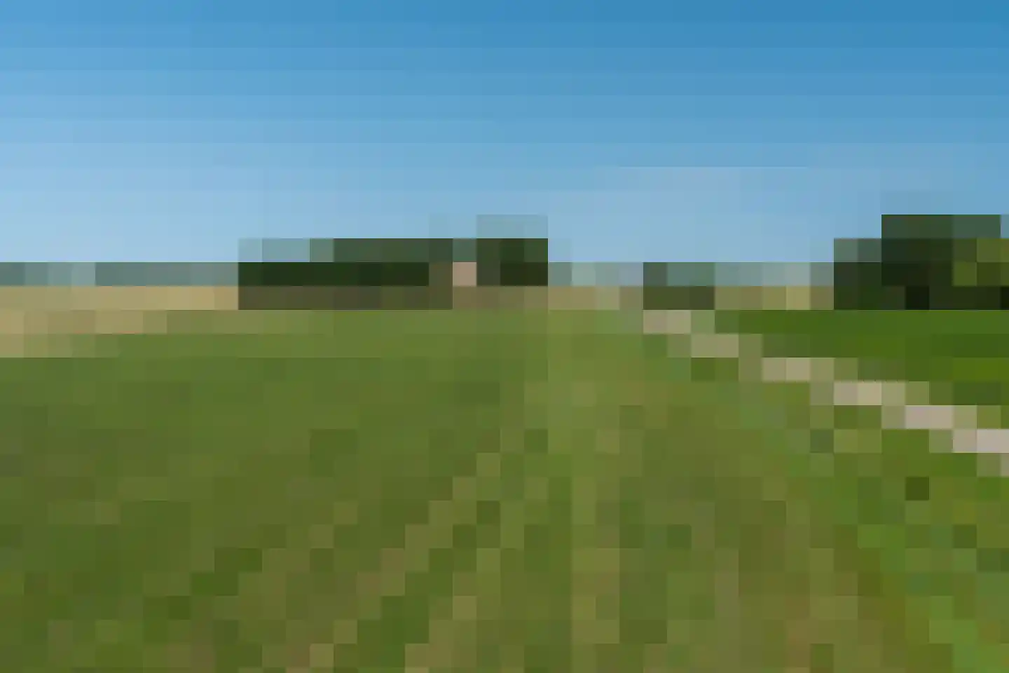 Hearewei 39 Tzummarum thumbnail 80