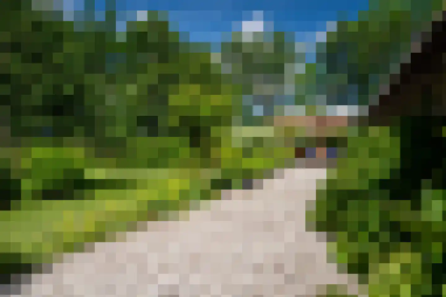 Hearewei 39 Tzummarum thumbnail 9