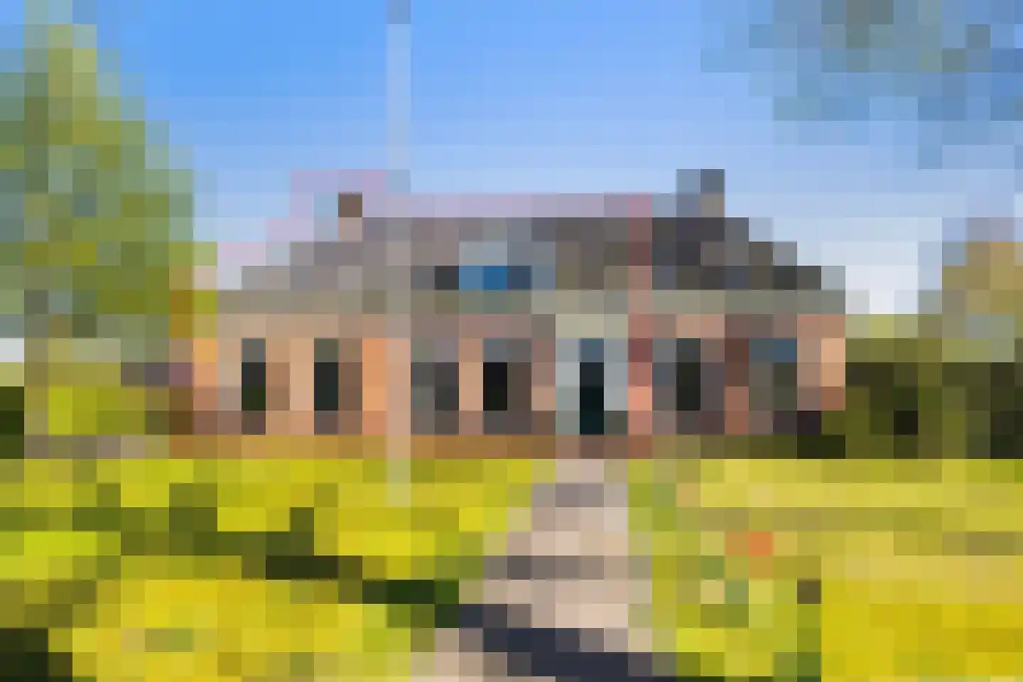 Hearewei 4 in Dronryp