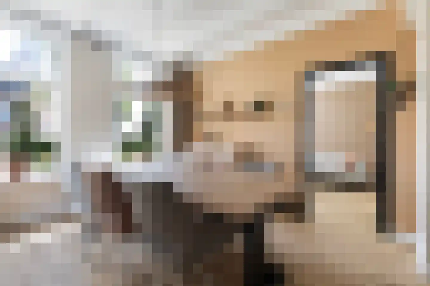 Hearewei 4 Damwâld thumbnail 18