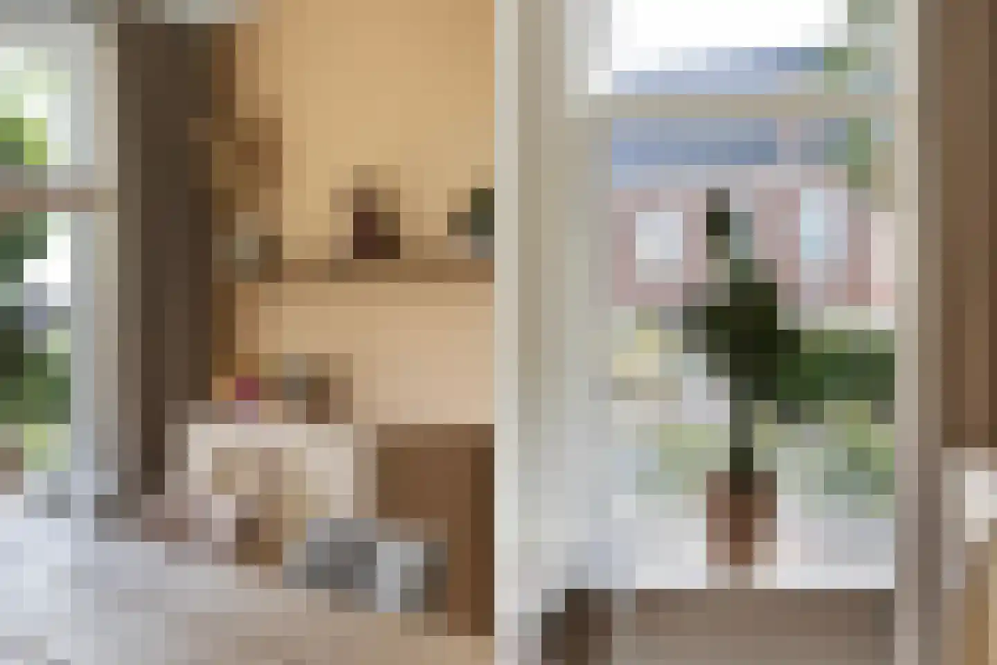 Hearewei 4 Damwâld thumbnail 19