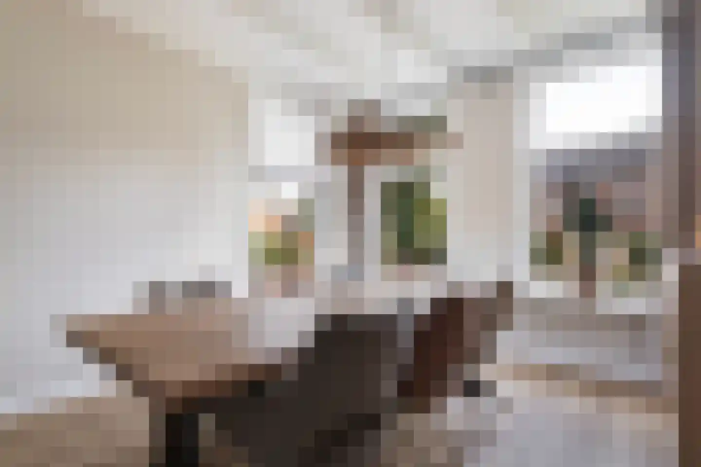 Hearewei 4 Damwâld thumbnail 21