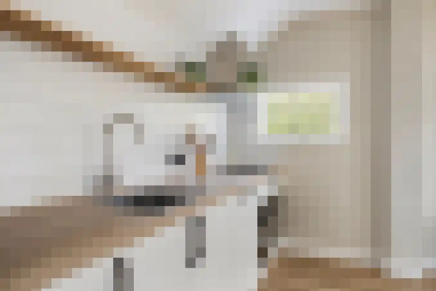Hearewei 4 Damwâld thumbnail 23