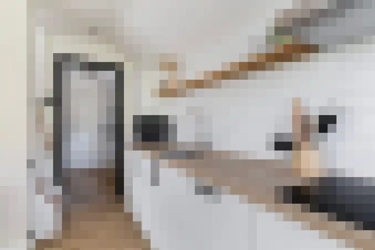 Hearewei 4 Damwâld thumbnail 25