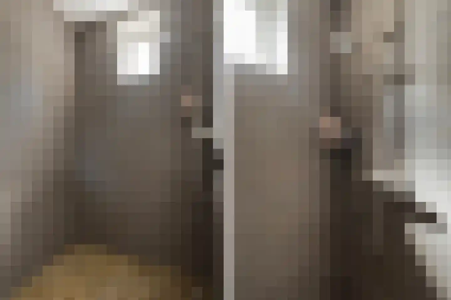 Hearewei 4 Damwâld thumbnail 27