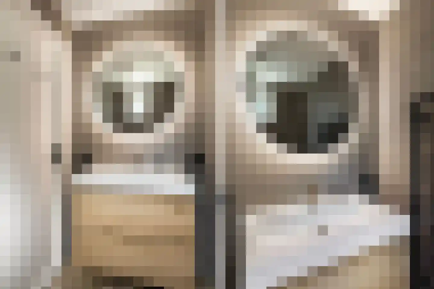 Hearewei 4 Damwâld thumbnail 28