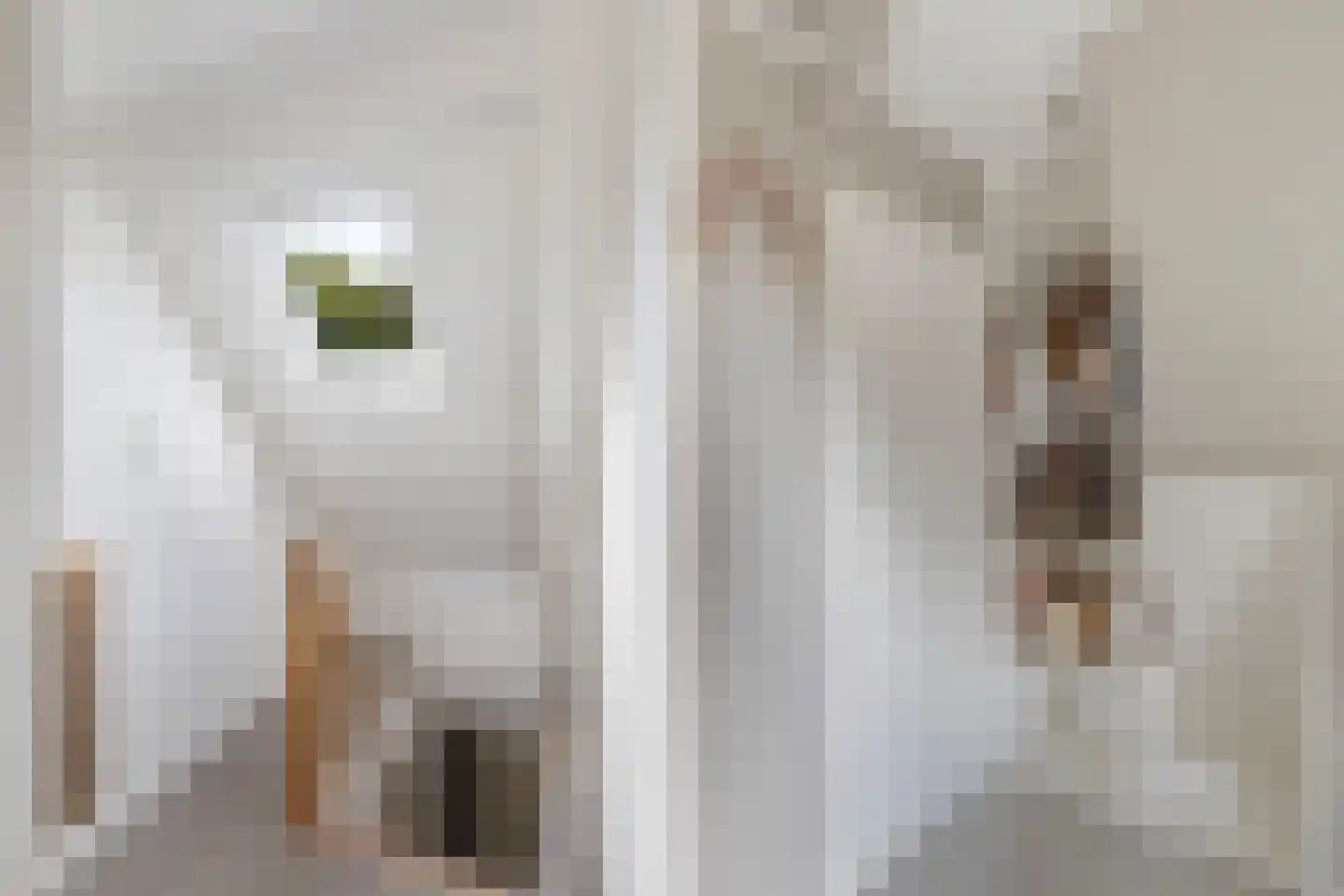 Hearewei 4 Damwâld thumbnail 29