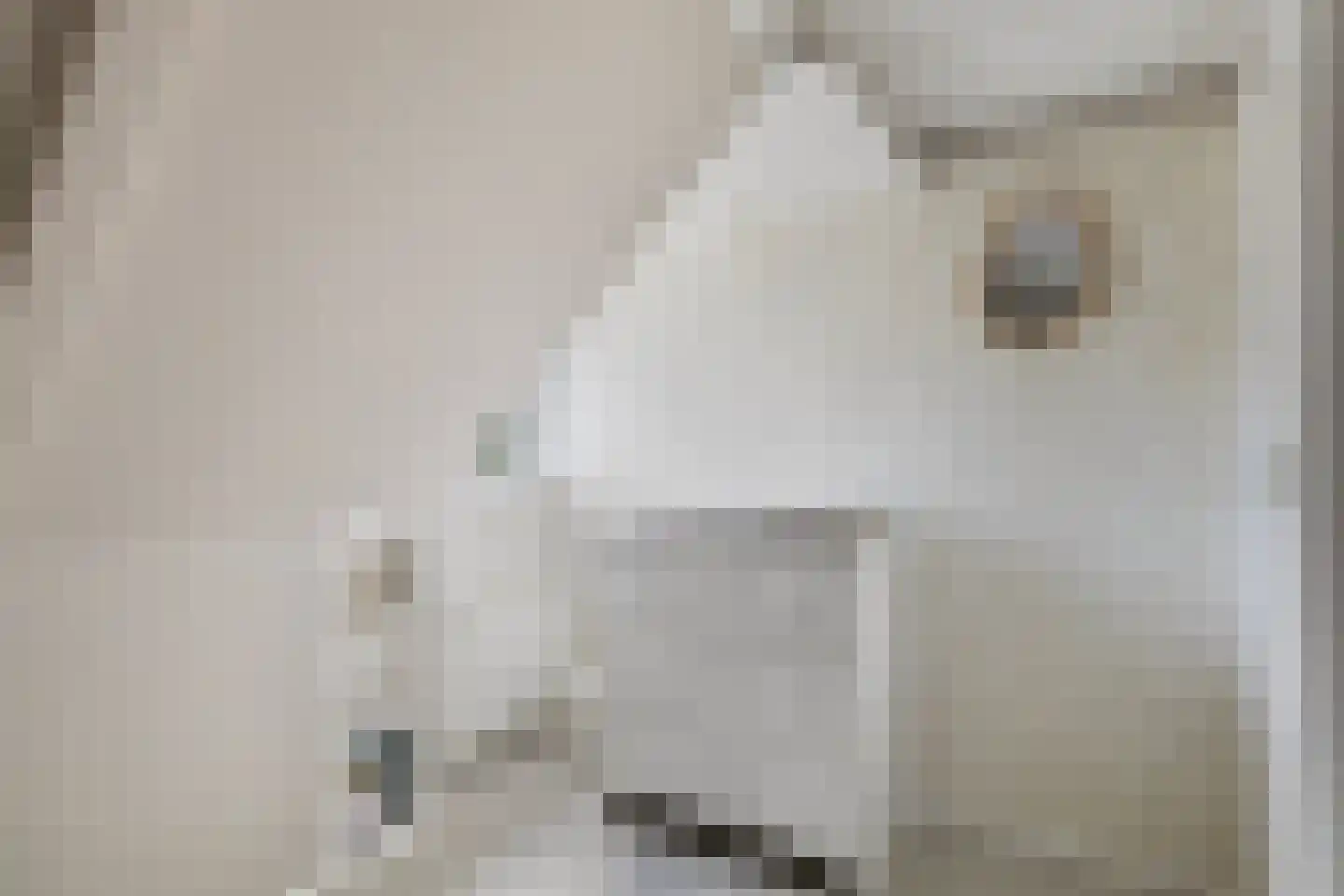 Hearewei 4 Damwâld thumbnail 31