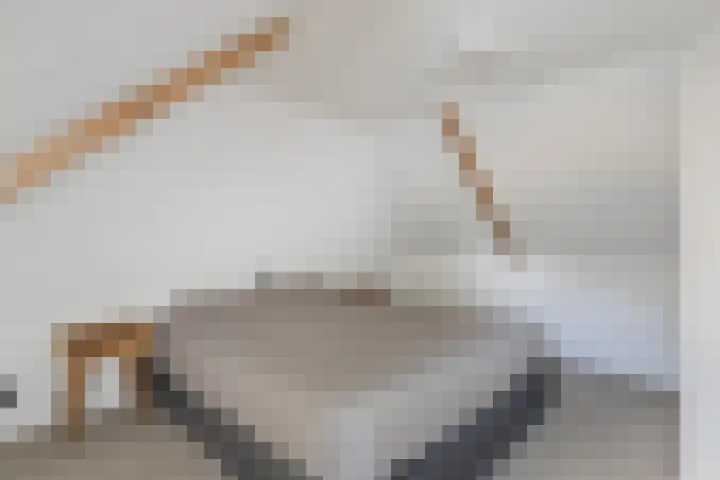 Hearewei 4 Damwâld thumbnail 32