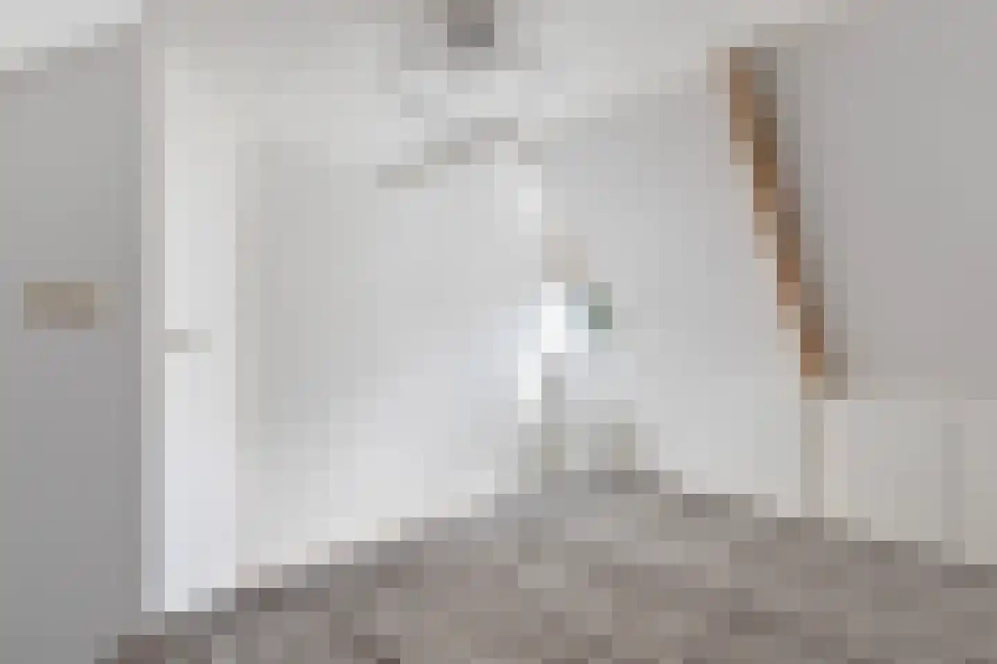 Hearewei 4 Damwâld thumbnail 34