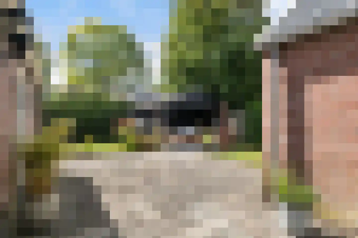 Hearewei 4 Damwâld thumbnail 36