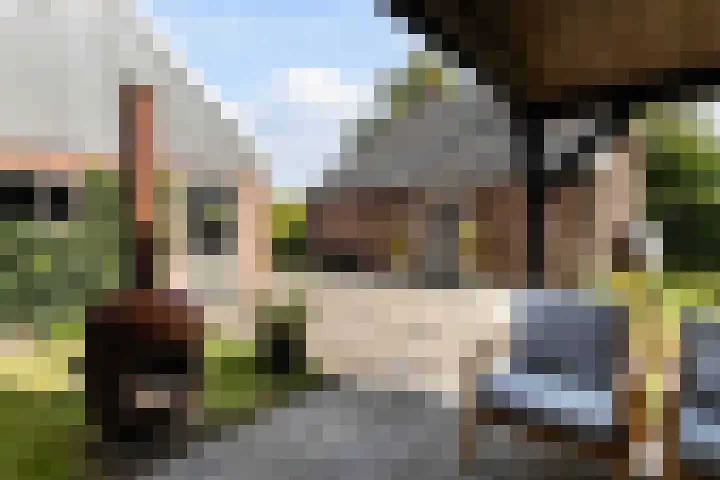 Hearewei 4 Damwâld thumbnail 38