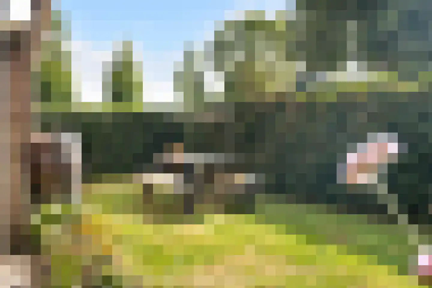 Hearewei 4 Damwâld thumbnail 39