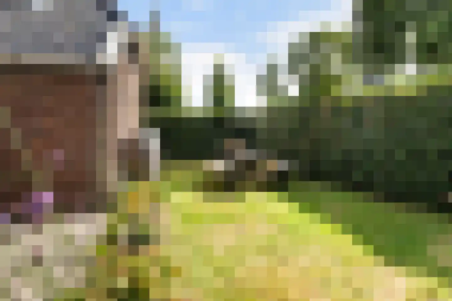 Hearewei 4 Damwâld thumbnail 40