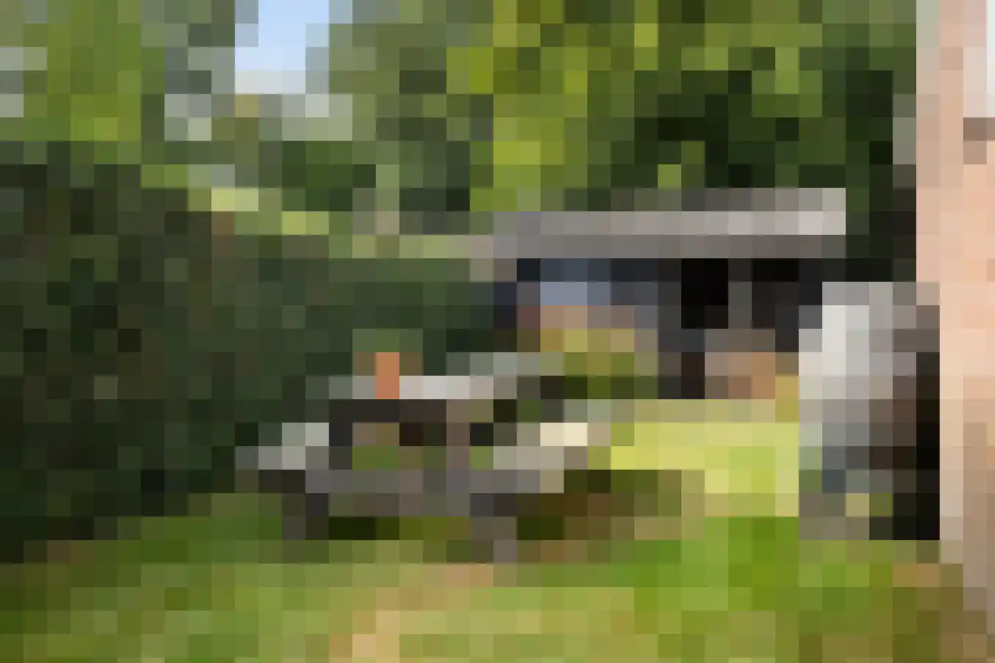 Hearewei 4 Damwâld thumbnail 43