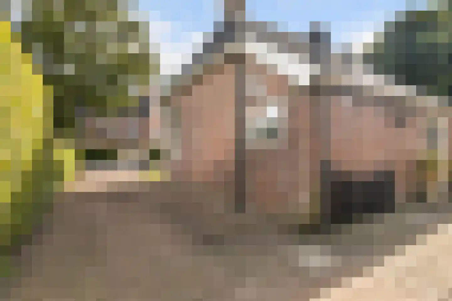 Hearewei 4 Damwâld thumbnail 45