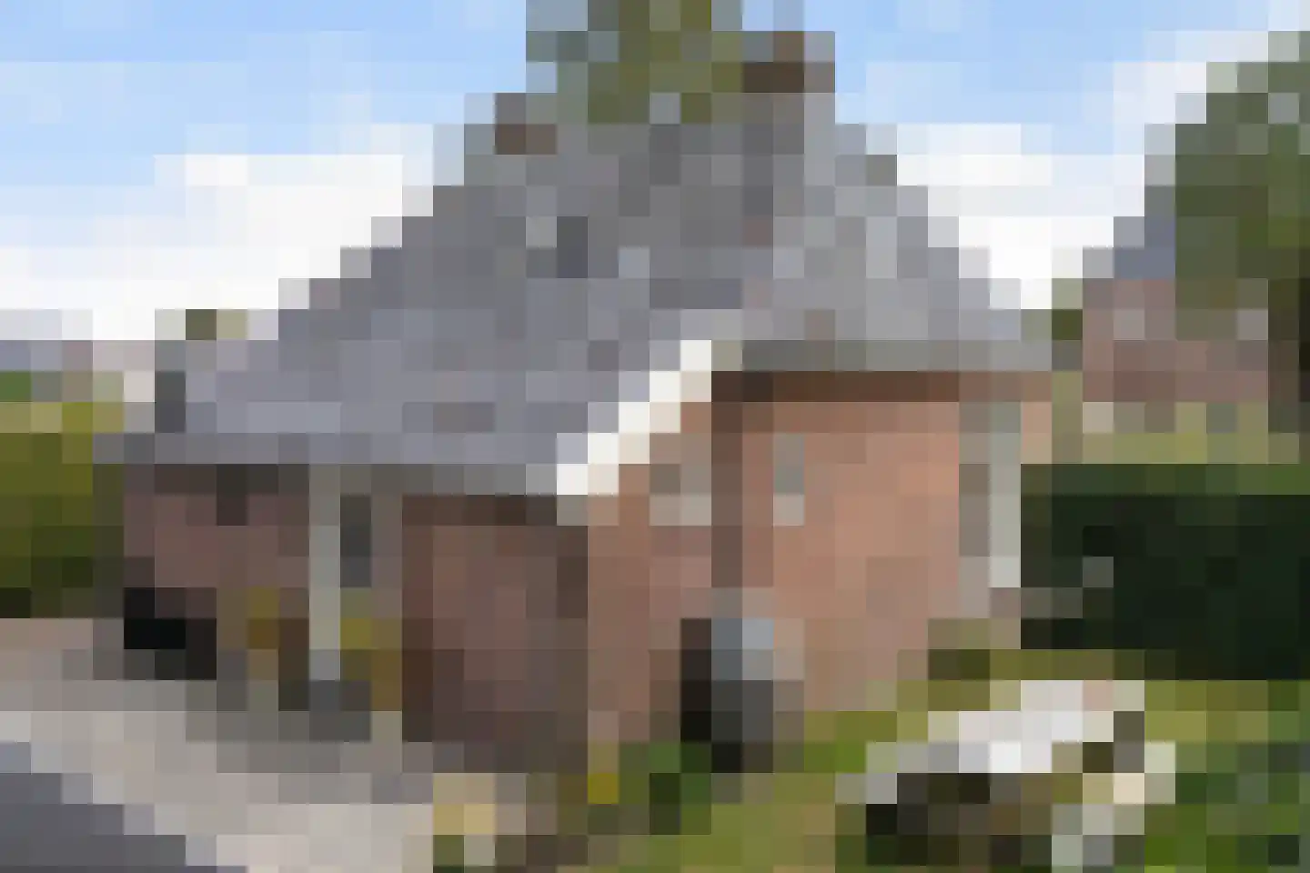 Hearewei 4 Damwâld thumbnail 46