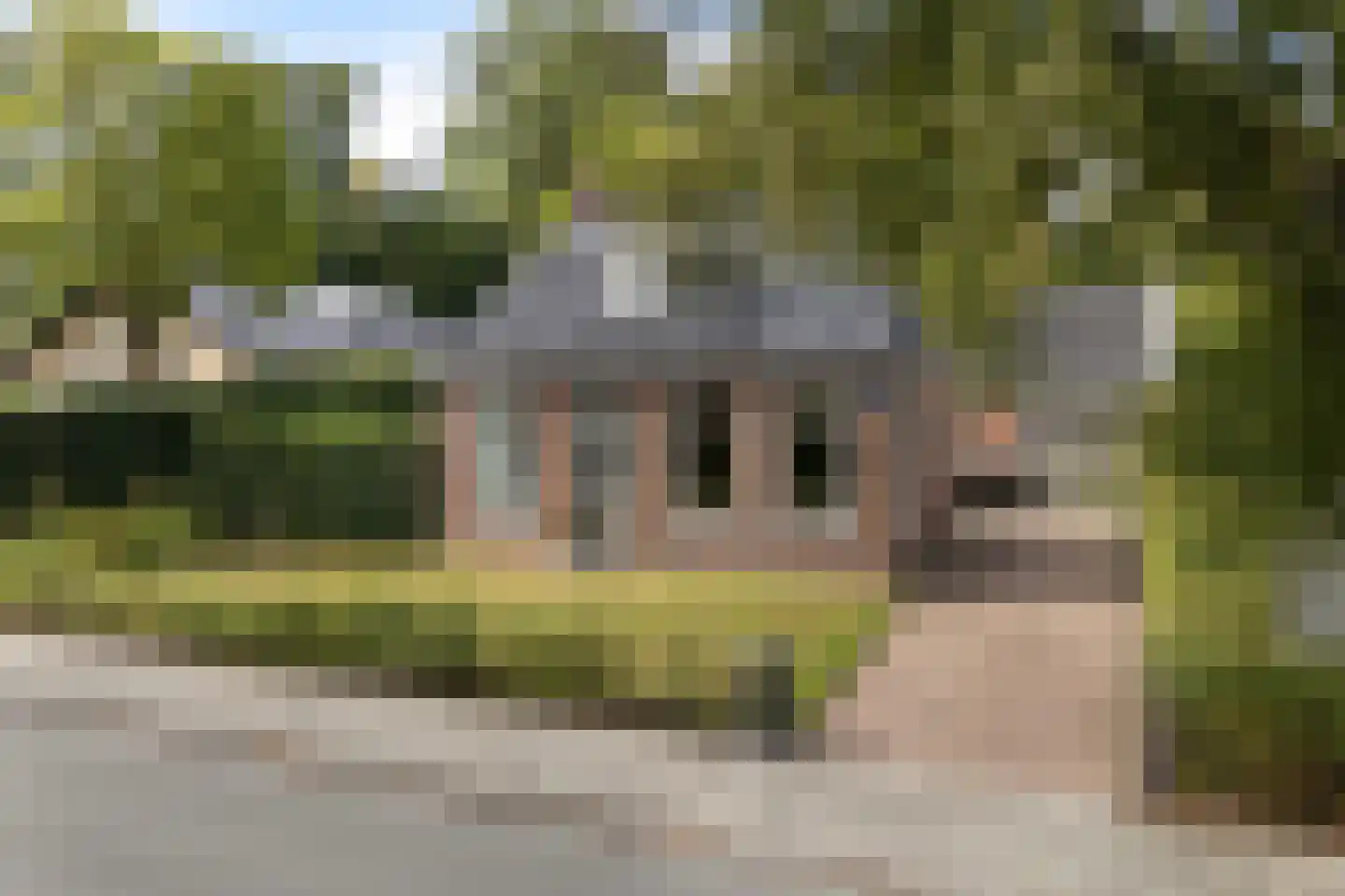 Hearewei 4 Damwâld thumbnail 47
