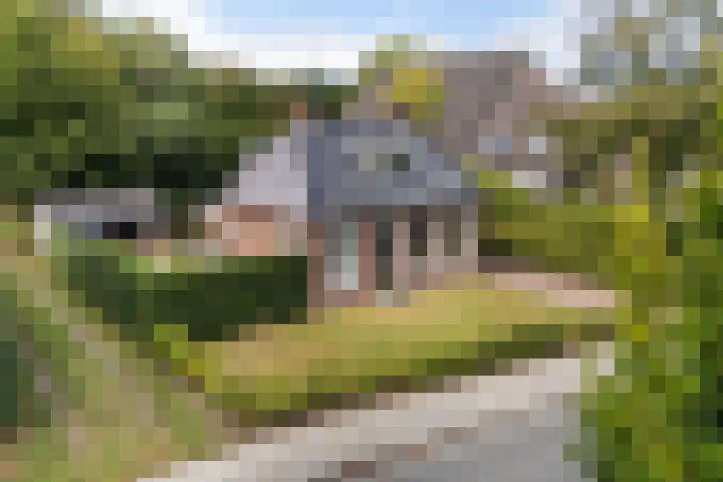 Hearewei 4 Damwâld thumbnail 48