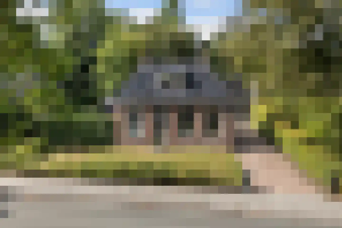 Hearewei 4 Damwâld thumbnail 5
