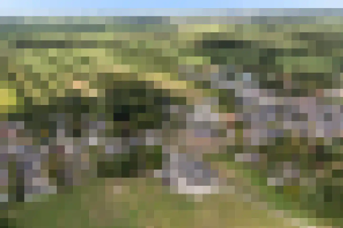 Hearewei 4 Damwâld thumbnail 50