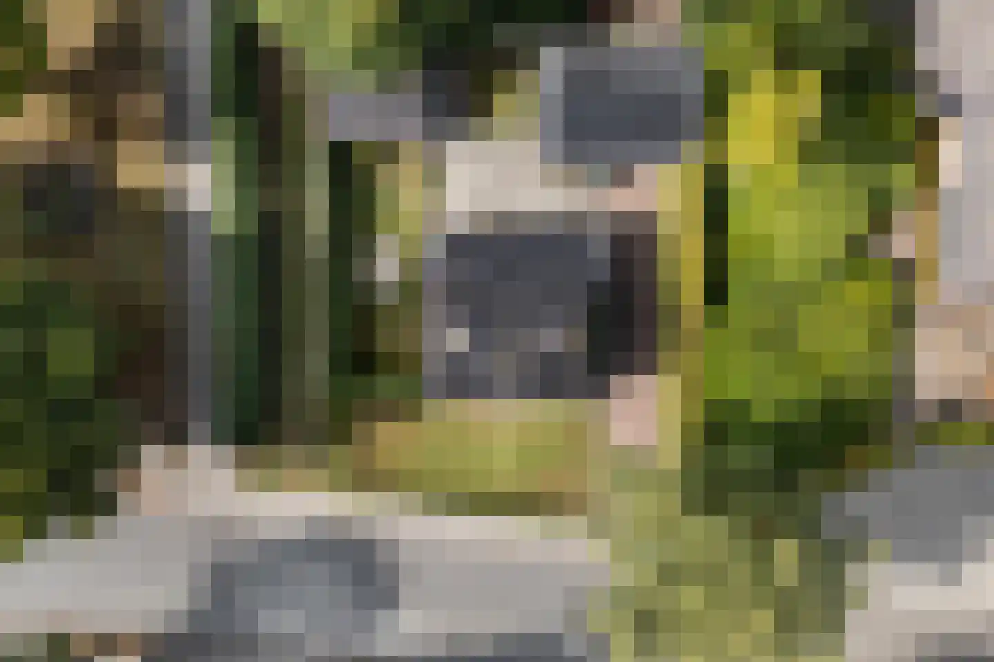 Hearewei 4 Damwâld thumbnail 51