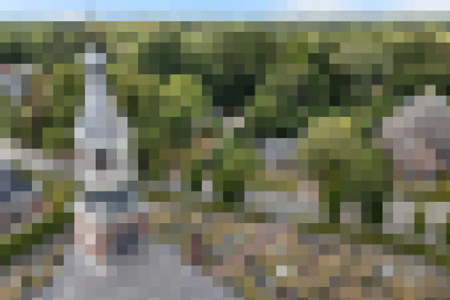 Hearewei 4 Damwâld thumbnail 53