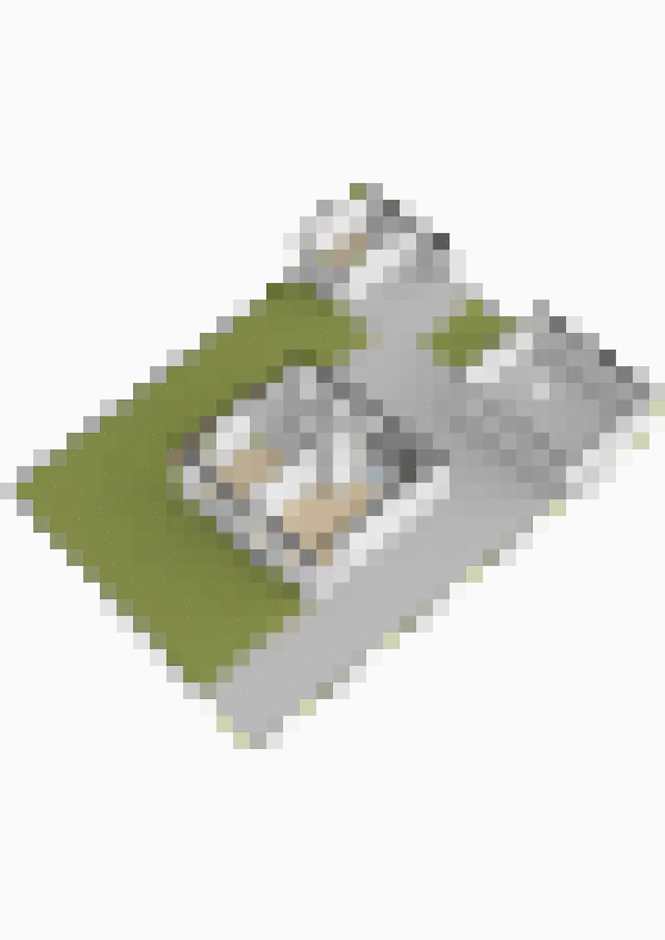 Hearewei 4 Damwâld thumbnail 55