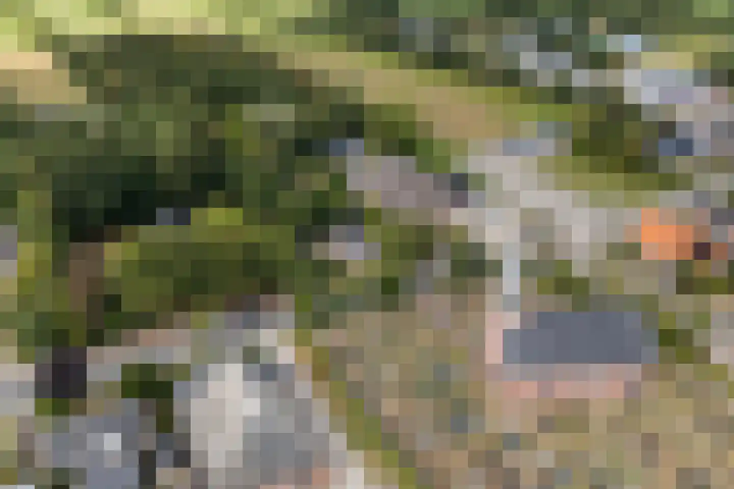 Hearewei 4 Damwâld thumbnail 6