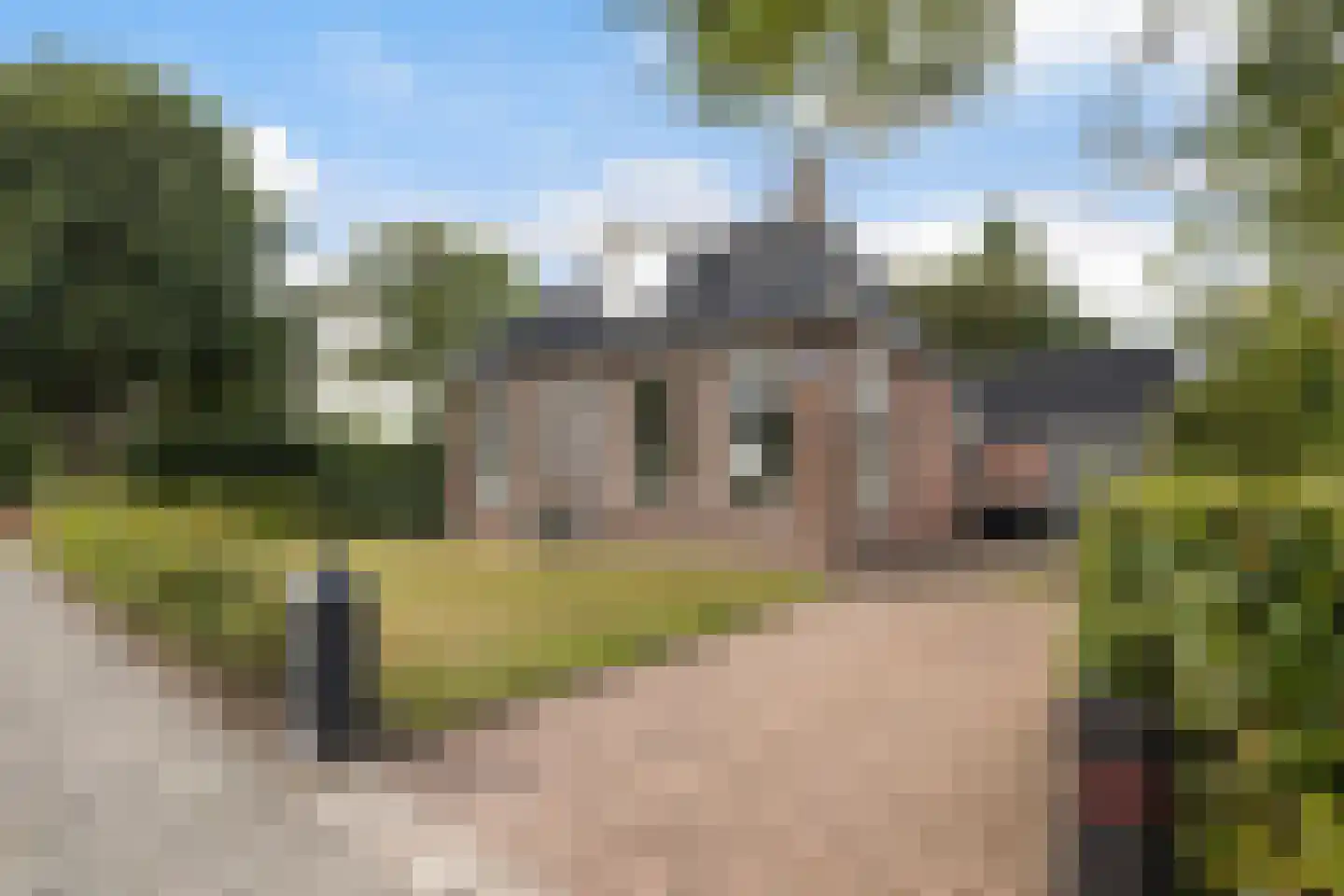 Hearewei 4 Damwâld thumbnail 8