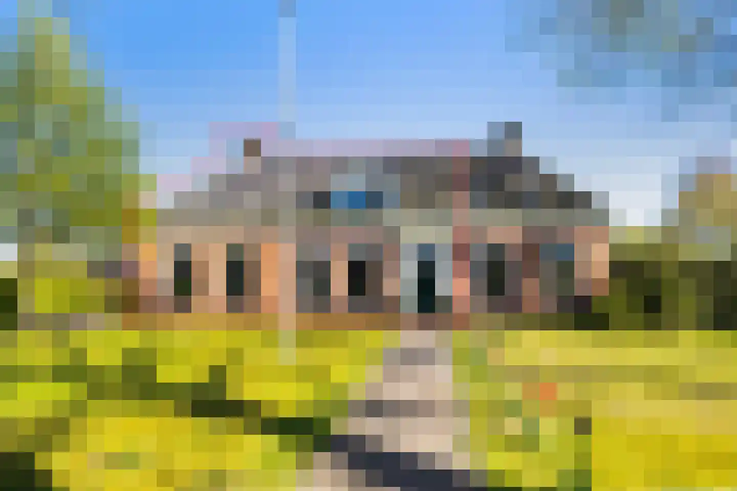 Hearewei 4 Dronryp