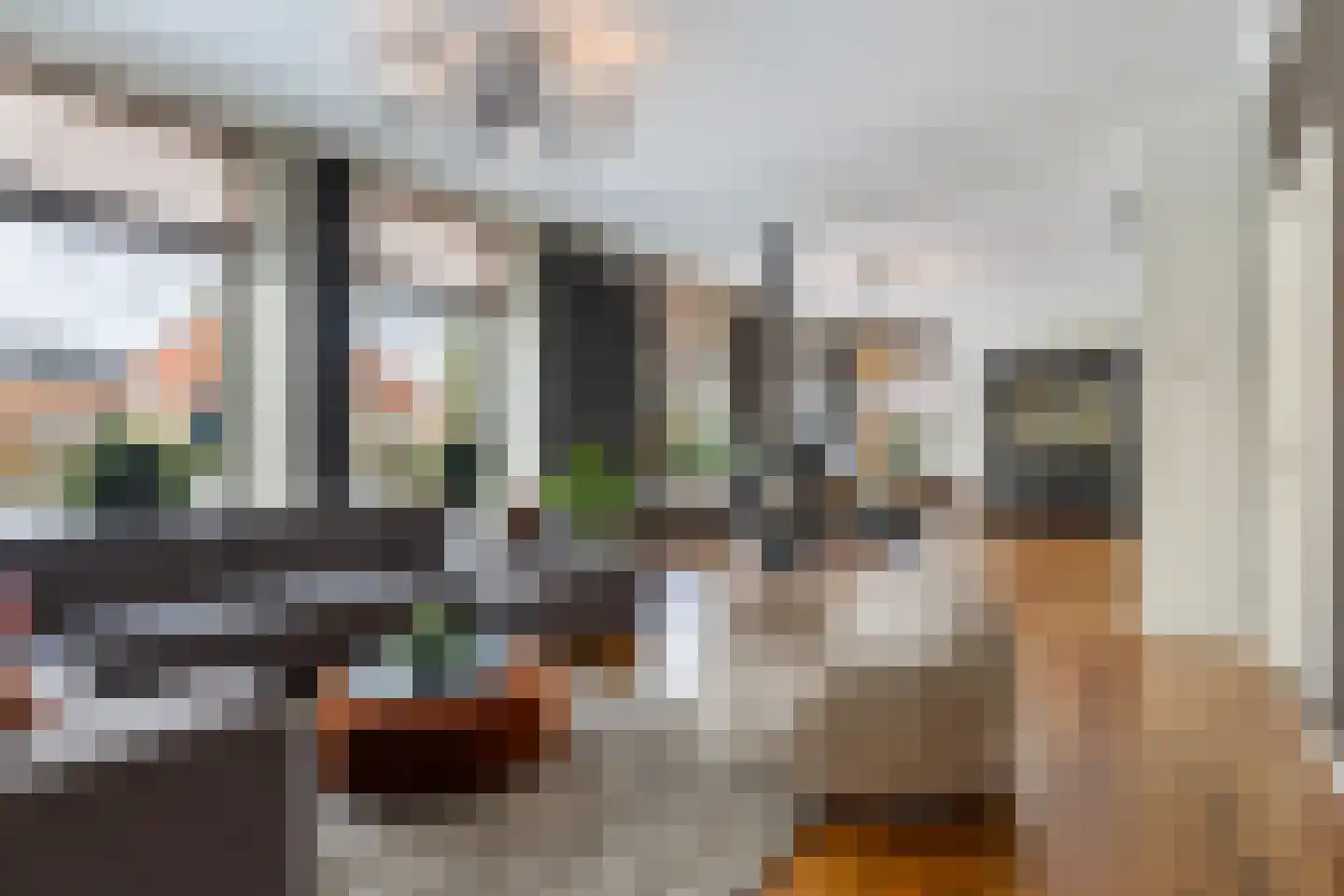 Hearewei 4 Dronryp foto 2