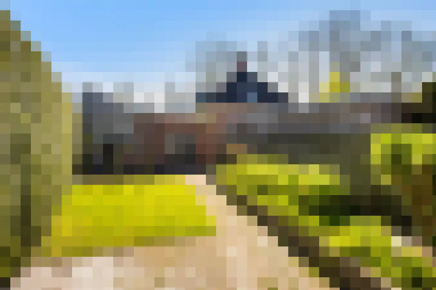 Hearewei 4 Dronryp thumbnail 29