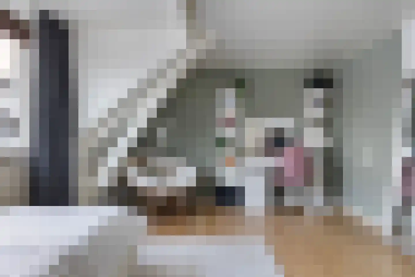 Hearewei 4 Dronryp thumbnail 38