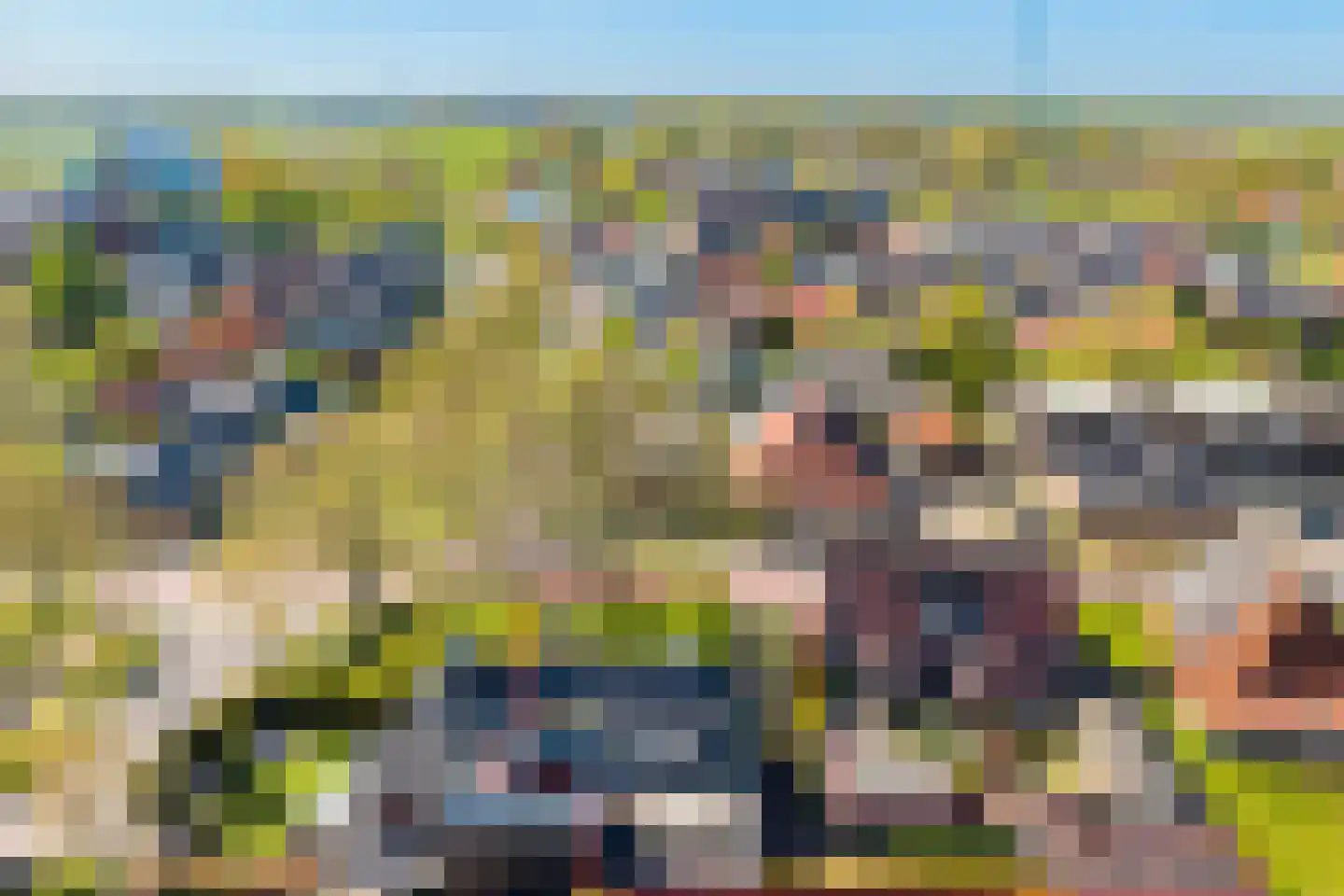Hearewei 4 Dronryp thumbnail 4