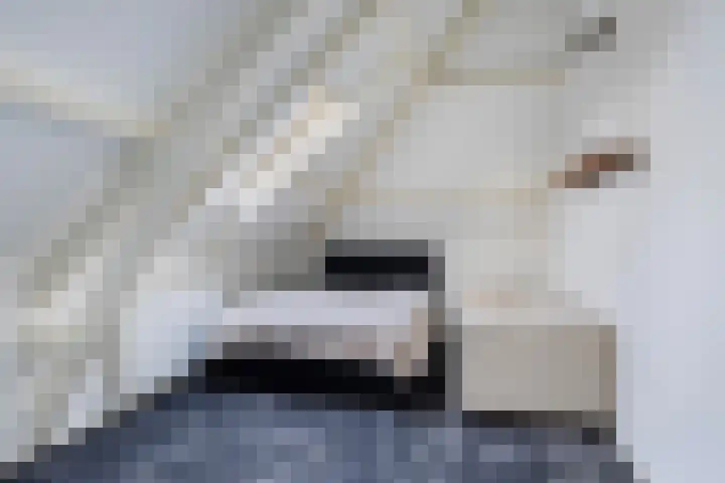 Hearewei 4 Dronryp thumbnail 42