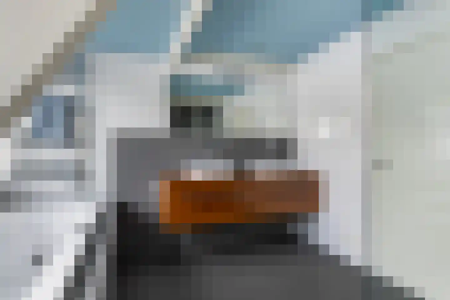 Hearewei 4 Dronryp thumbnail 48